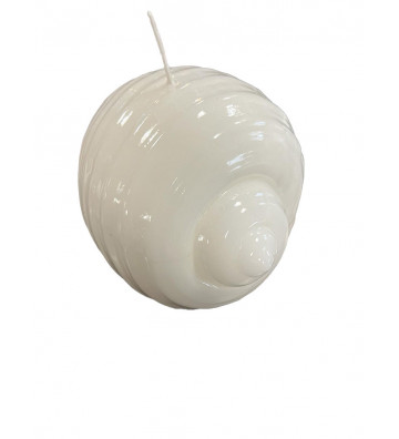 White closed shell candle 15cm - nardini supplies