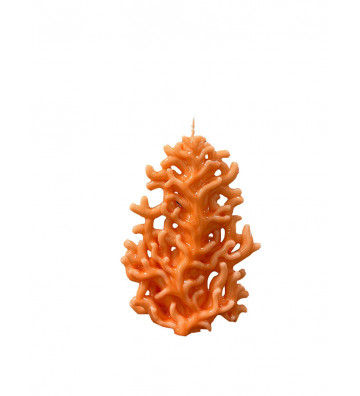 Peach-colored lacquered coral-shaped candle h22cm - nardini supplies