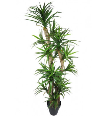 Artificial Yucca plant with 4 H250 cm logs - Nardini Forniture
