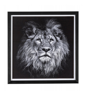 Black and white lion print 43cm - nardini supplies