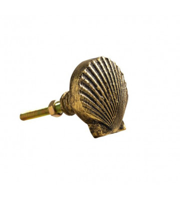 Shell-shaped golden resin knob - Chehoma - Nardini Forniture