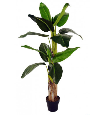 Banano verde artificiale h152cm - Concoral - Nardini Forniture
