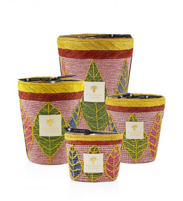 Ravintsara Hanitra Max10 Perfume Candle Baobab Collection