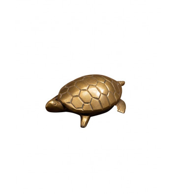 Brass turtle bottle openers - Chehoma - Nardini Forniture