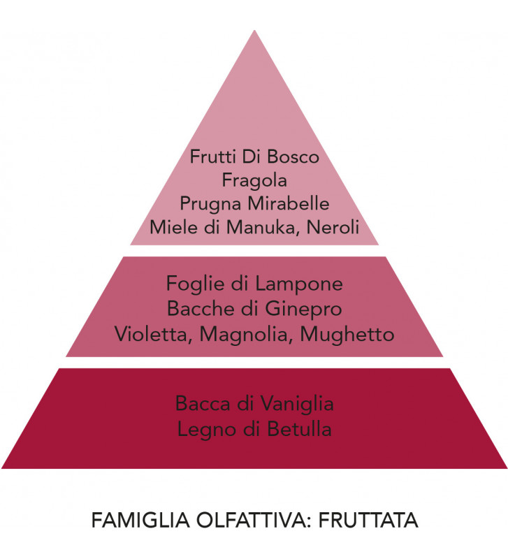 Environmental perfumer Scarlet basins / +2 formats - Mami Milano - Nardini Forniture