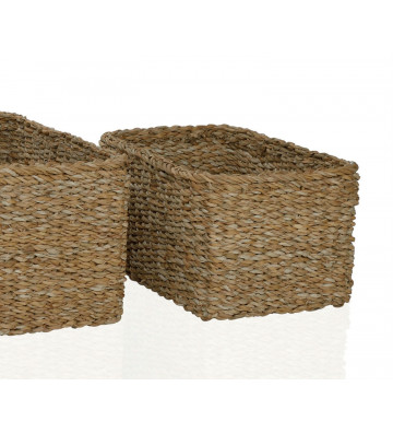 Rectangular baskets in seaweed / +3 dimensions