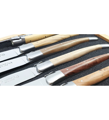 Pack of 6 professional knives - Laguiole