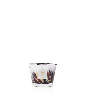 Rainforest TANJUNG / 2 sized candle - Baobab Collection