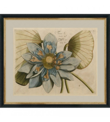 Quadro Fiore di Loto blu 50x60cm - Nardini Forniture