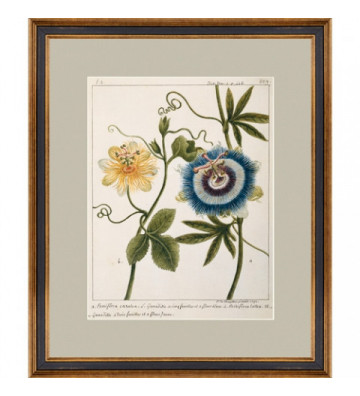 Passiflora Square Flowers 60x80cm - Nardini Forniture