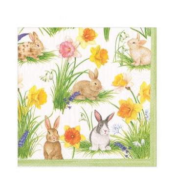 Easter Bunnies Paper Napkins - 20pcs