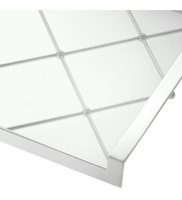 Steel and glass goa tray 48x34cm - Eichhotlz - Nardini Forniture