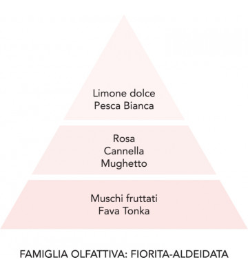 Scenters for pink diamond laundry 200ml / + fragrances - Mami Milano - Nardini Forniture